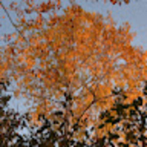 Meet your Posher, Larry